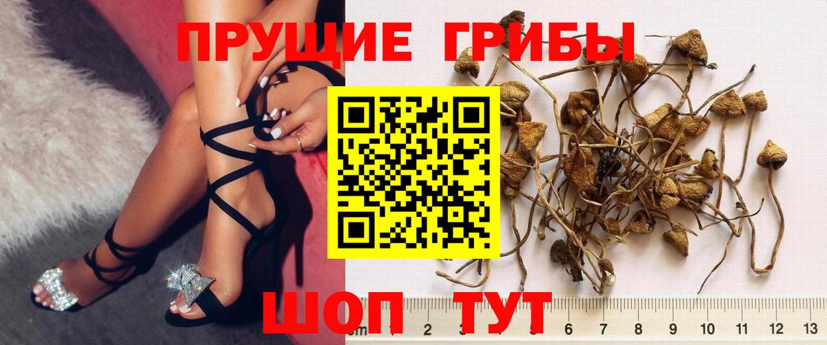Галлюциногенные грибы MAGIC MUSHROOMS  продажа наркотиков  Юрга  Вход с VPN 